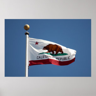 California flag poster
