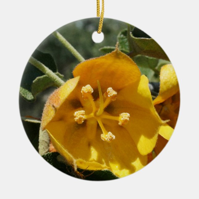 California Flannel Bush Ceramic Ornament (Front)