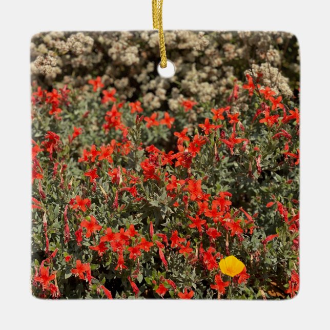 California Fuchsia Ceramic Ornament (Front)
