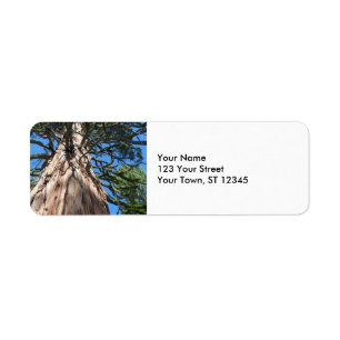 California Giant Tree Label
