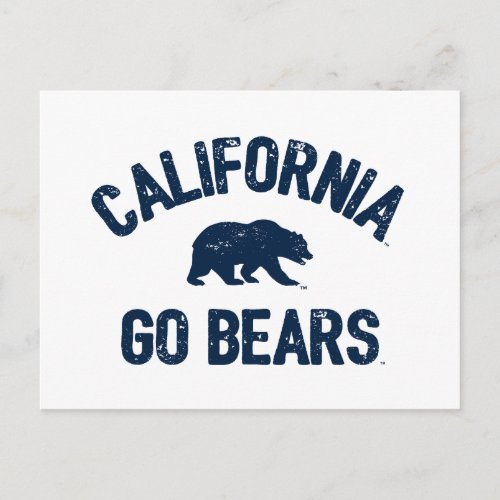 California Go Bears Blue Postcard