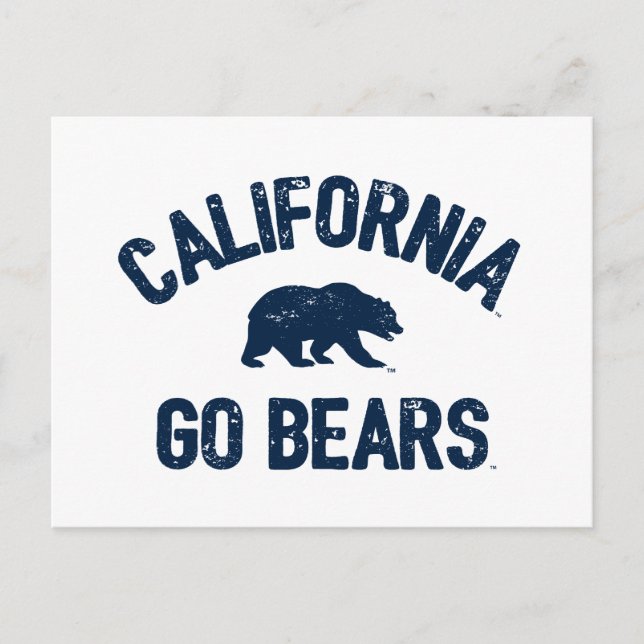 California Go Bears Blue Postcard (Front)