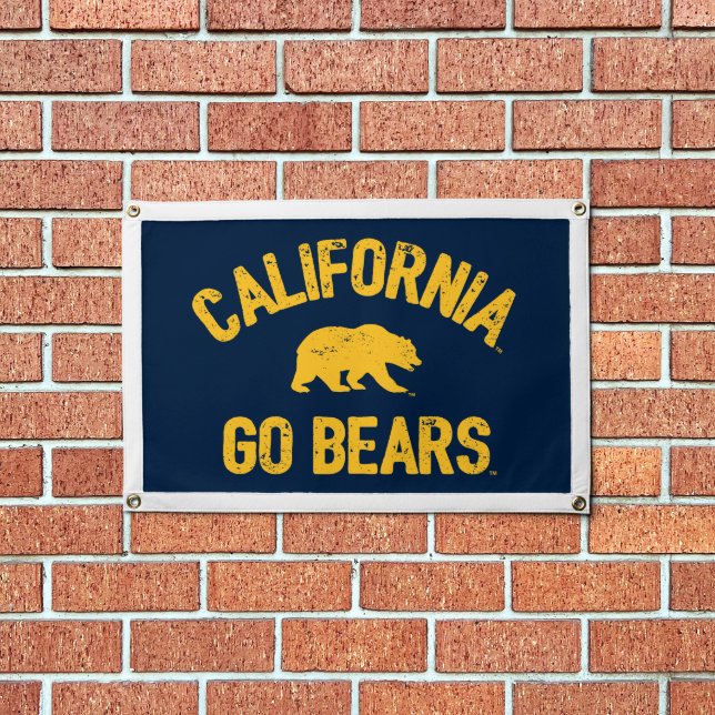 California Go Bears Gold Pennant (Insitu 1)