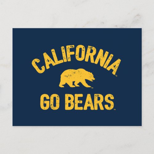 California Go Bears Gold Postcard