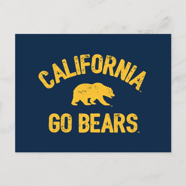 California Go Bears Gold Postcard (Front)
