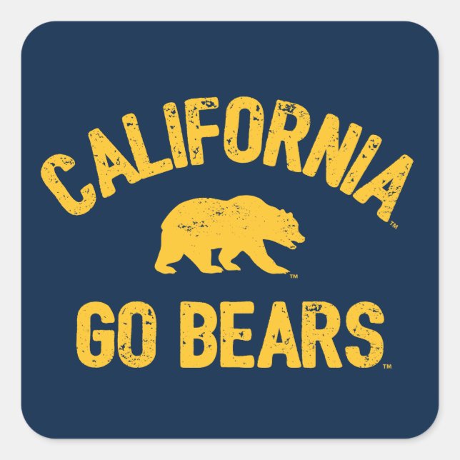 California Go Bears Gold Square Sticker (Front)