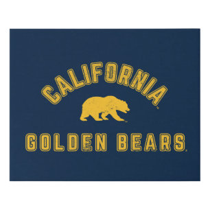 California Golden Bears Faux Canvas Print