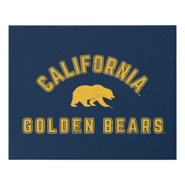 California Golden Bears Faux Canvas Print (Front)