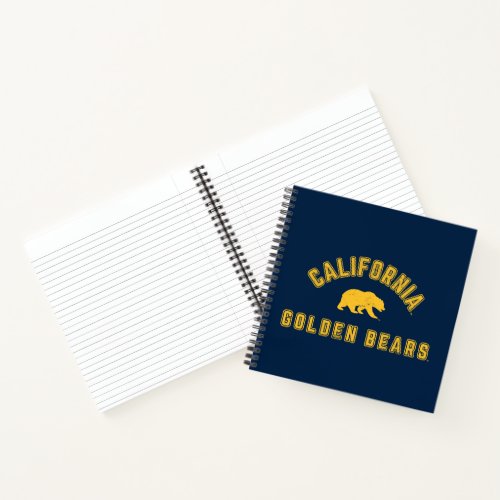 California Golden Bears Notebook