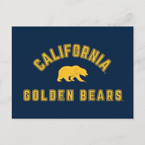 California Golden Bears Postcard
