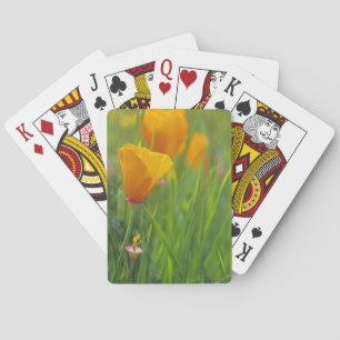California golden poppies in a green field poker cards