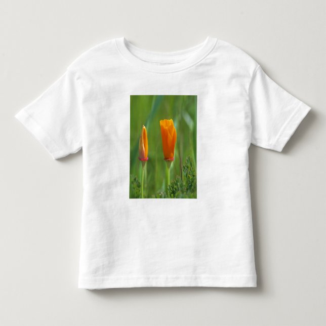 California golden poppies in a green field toddler t-shirt (Front)