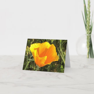 California Golden Poppy - 1 Thank You Card