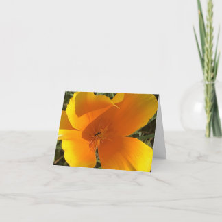 California Golden Poppy - 2 Letterpress Thank You Card
