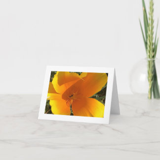 California Golden Poppy - 3 Letterpress Thank You Card