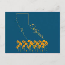 California Golden State Poppy Floral Postcard