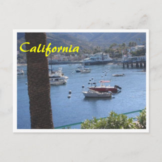 California Got Sushi Postcard
