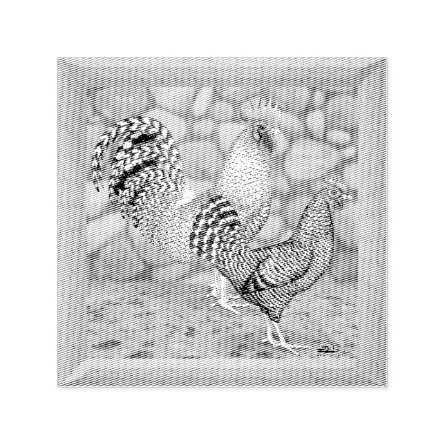 California Gray Chickens Self-inking Stamp (Design)