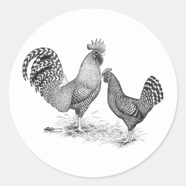 California Gray Rooster and Hen Classic Round Sticker (Front)