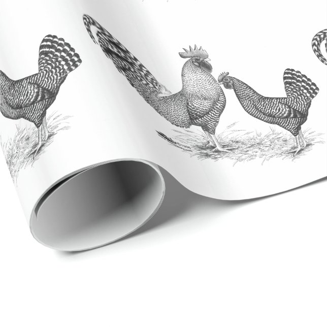California Gray Rooster and Hen Wrapping Paper (Roll Corner)