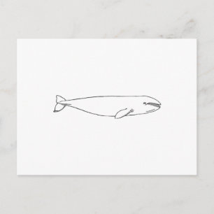 California Gray Whale Postcard