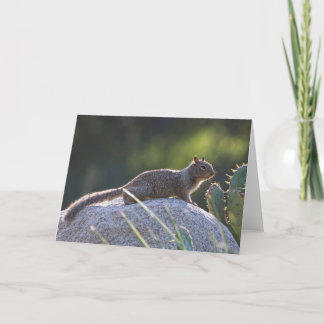 California Ground Squirrel Card