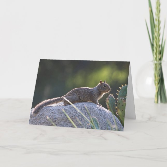 California Ground Squirrel Card (Front)