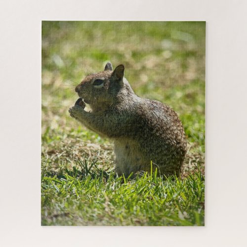 California Ground Squirrel Jigsaw Puzzle