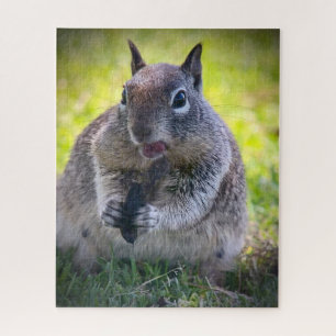 California Ground Squirrel Jigsaw Puzzle