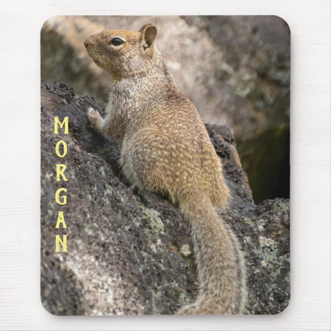 California Ground Squirrel Mouse Pad (Front)