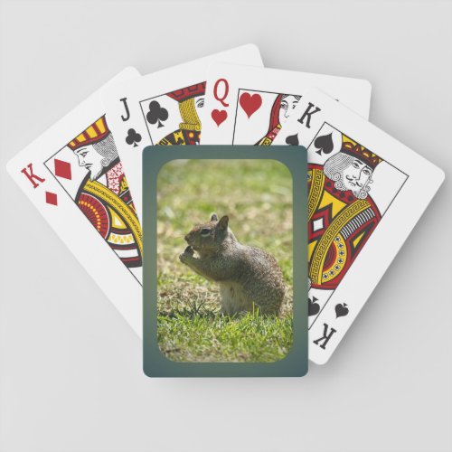 California Ground Squirrel Playing Cards