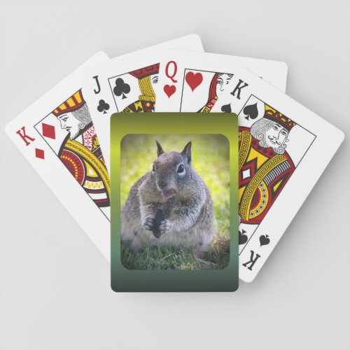 California Ground Squirrel Playing Cards