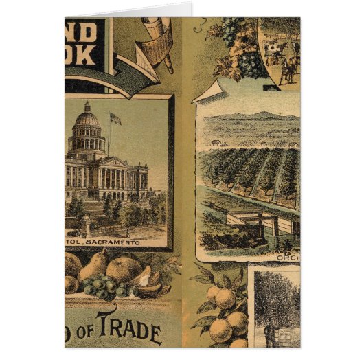 California hand book cards (Front)