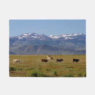 California HWY 395 Landscape Doormat
