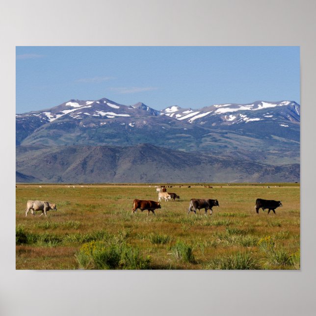 California HWY 395 Landscape Poster (Front)