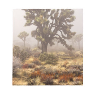 California: Joshua Tree National Monument, Notepad