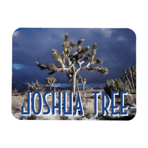 California Joshua Tree National Park Magnet