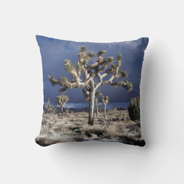 California, Joshua Tree National Park Throw Pillow (Front)