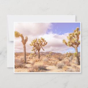 California Joshua Trees National Park Landscape  Postcard