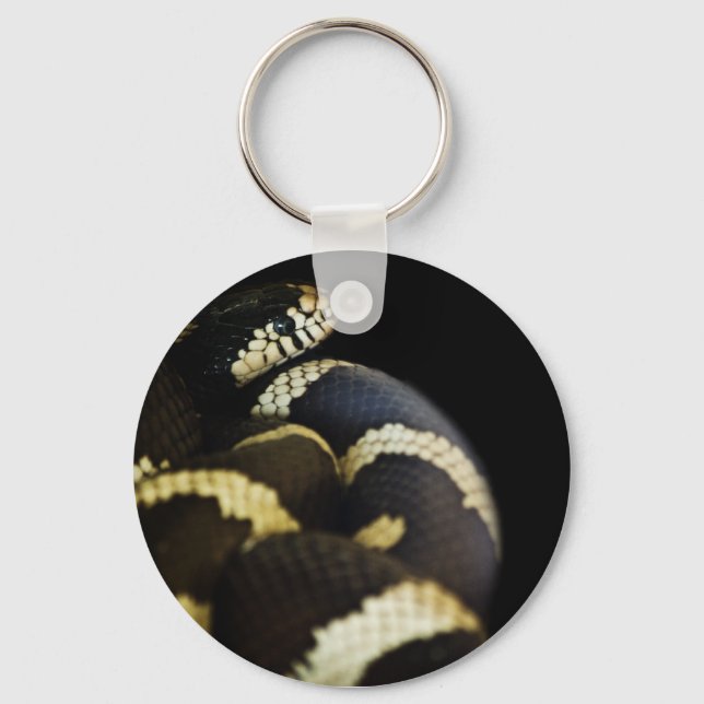 California King Snake Keychain (Front)