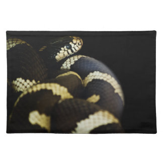 California King Snake Placemats