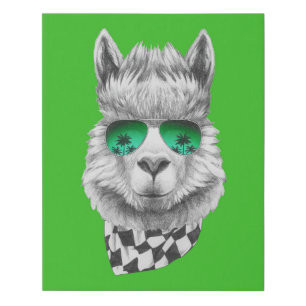 California llama faux canvas print