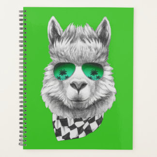 California llama planner