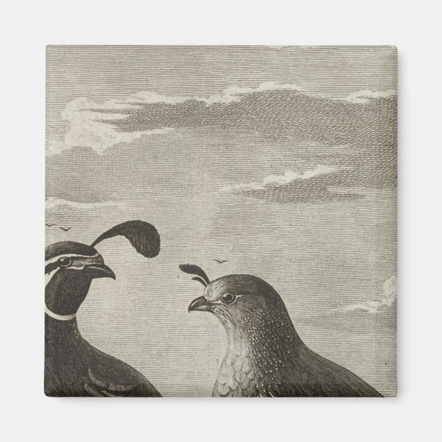 California Magnet (Front)