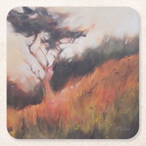 California Monterey Cypress Lone Tree Square Paper Coaster