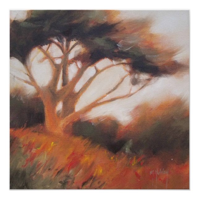 California Monterey Cypress Trees Poster (Front)