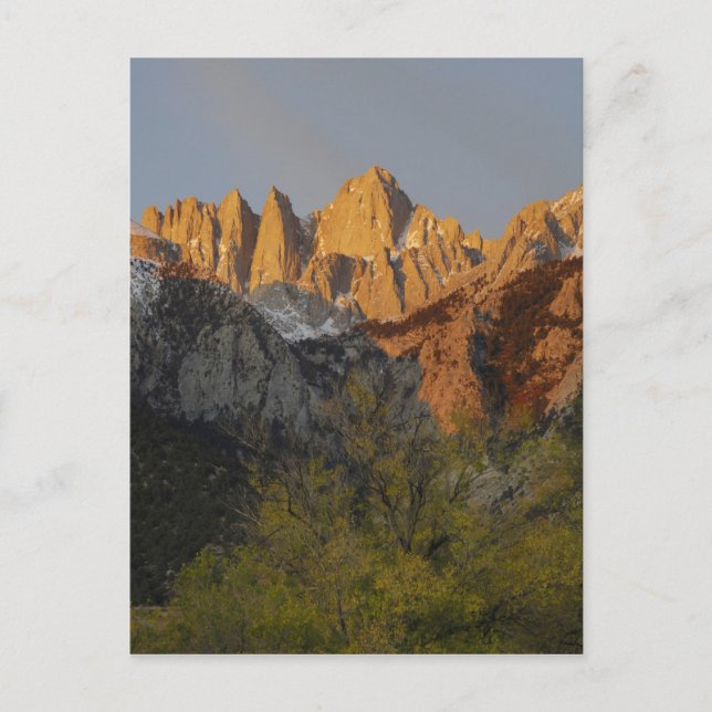 California, Mount Whitney, Inyo National Forest 3 Postcard (Front)