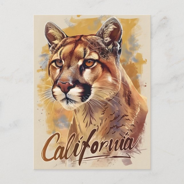 California Mountain Lion Cougar Portrait Postcard (Front)