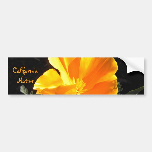 California Native Bumper Sticker (Front)