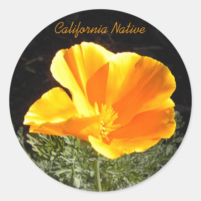 California Native Classic Round Sticker (Front)